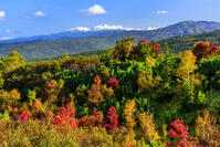 紅葉の望岳台より大雪山を遠望 [MHI110004931]