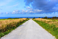 宗谷丘陵　白い道 [MHI110004943]