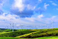 宗谷丘陵　風車の道 [MHI110004945]