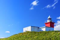 花咲灯台 [MHI110004962]