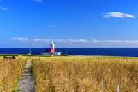 落石岬灯台と太平洋 [MHI110004963]