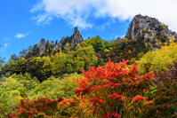 紅葉の層雲峡　双槍峰 [MHI110004986]
