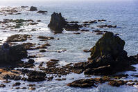 襟裳岬の岩礁群　朝景 [MHI110004998]