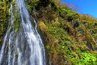 フンベの滝と虹 [MHI110005002]