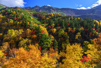 ?紅葉の十勝岳温泉より十勝岳連峰　初冠雪 [MHI110005010]