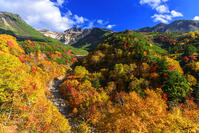 ?紅葉の十勝岳温泉より上ホロカメットク山　初冠雪 [MHI110005011]