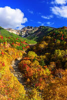 ?紅葉の十勝岳温泉より上ホロカメットク山　初冠雪 [MHI110005013]