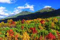 紅葉の望岳台より美瑛岳と美瑛富士 [MHI110005014]