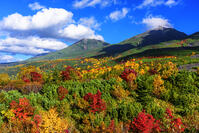 紅葉の望岳台より美瑛岳と美瑛富士 [MHI110005015]