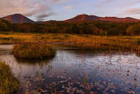 紅葉の田代平湿原より朝日に照らされる八甲田連峰 [MHI110005018]