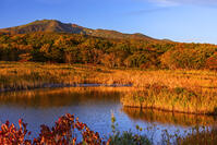 紅葉の田代平湿原より八甲田連峰　朝景 [MHI110005020]