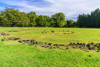 大湯環状列石　野中堂環状列石 [MHI110005026]