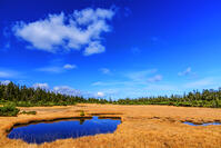 秋色の黒谷地湿原 [MHI110005032]