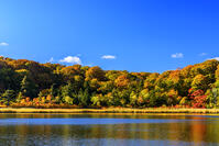 紅葉の大沼　八幡平 [MHI110005035]