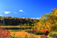 紅葉の大沼　八幡平 [MHI110005037]