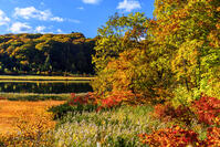 紅葉の大沼　八幡平 [MHI110005038]
