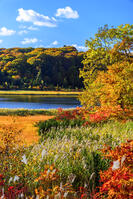 紅葉の大沼　八幡平 [MHI110005039]
