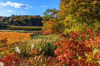 紅葉の大沼　八幡平 [MHI110005040]