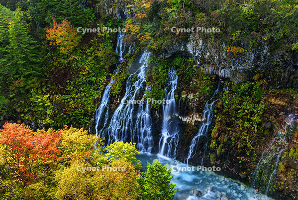 紅葉の白ひげの滝　 [MHI110004930]