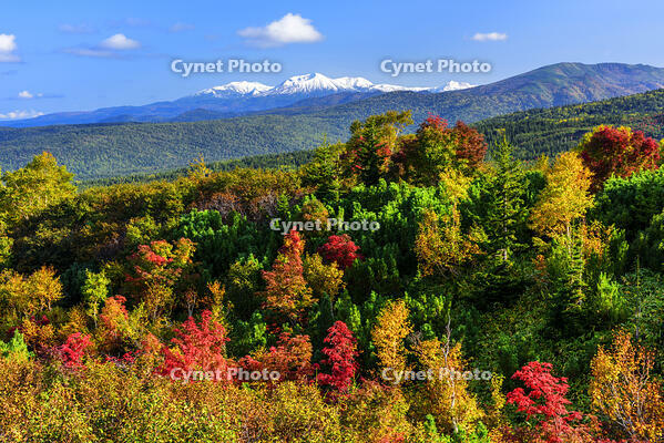 紅葉の望岳台より大雪山を遠望 [MHI110004931]
