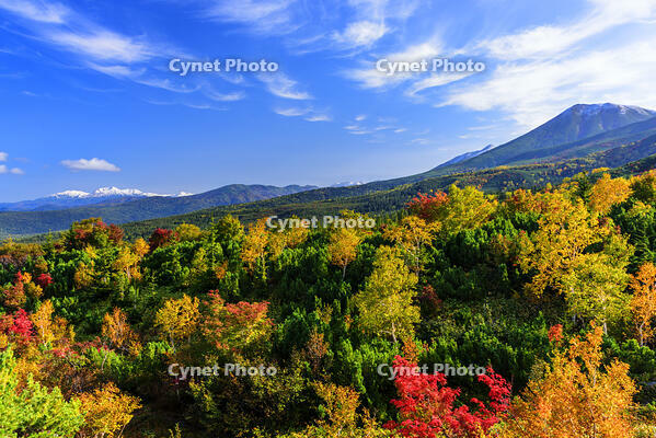 紅葉の望岳台より美瑛富士と大雪山 [MHI110004932]