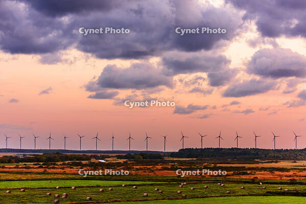 サロベツ原野より風車並ぶ日本海オロロンライン　夕景 [MHI110004939]