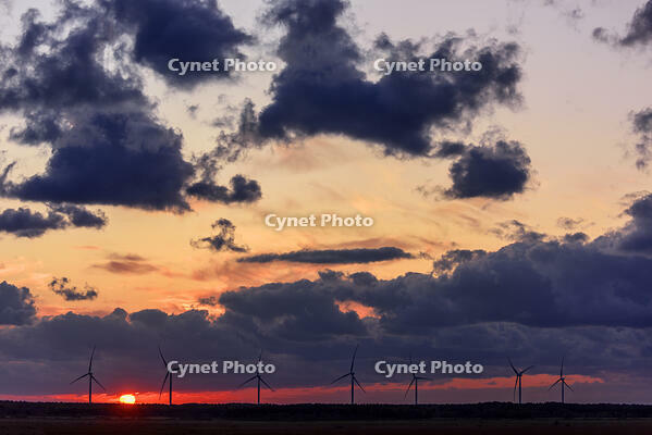 夕日沈むサロベツ原野より日本海オロロンラインの風車 [MHI110004940]