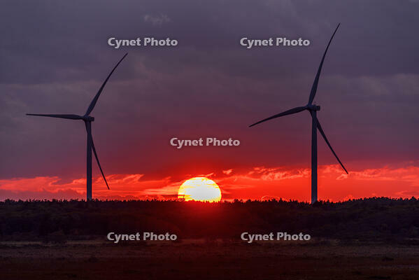 夕日沈むサロベツ原野より日本海オロロンラインの風車 [MHI110004941]