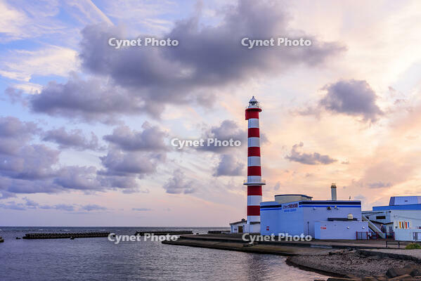 朝焼けのノシャップ岬　稚内灯台 [MHI110004942]