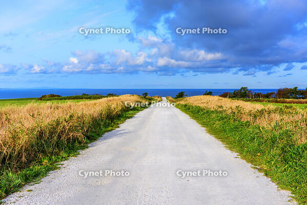 宗谷丘陵　白い道 [MHI110004943]