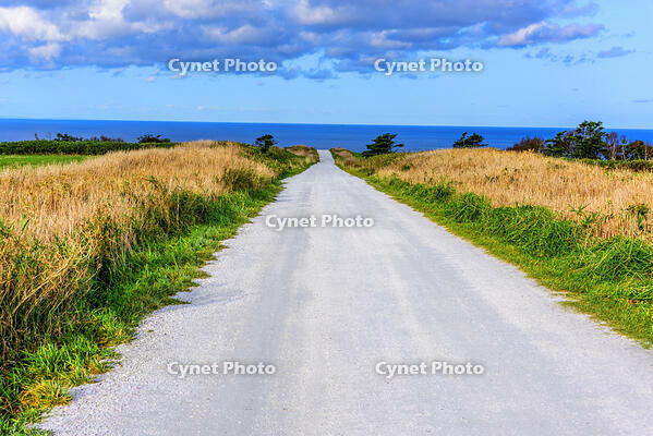 宗谷丘陵　白い道 [MHI110004944]