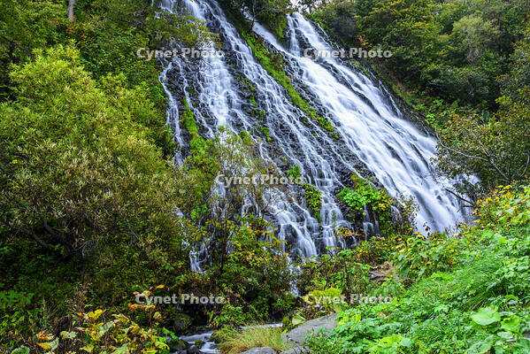 オシンコシンの滝 [MHI110004950]