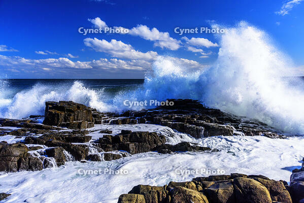 太平洋の高波　花咲岬より [MHI110004960]