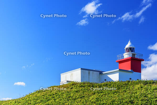 花咲灯台 [MHI110004962]