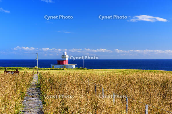 落石岬灯台と太平洋 [MHI110004963]
