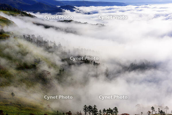 美幌峠より屈斜路湖の雲海　朝景 [MHI110004977]