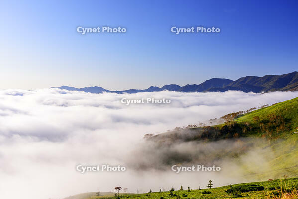 美幌峠より屈斜路湖の雲海　紅葉朝景 [MHI110004978]