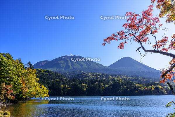 オンネトーより紅葉の雌阿寒岳と阿寒富士 [MHI110004979]