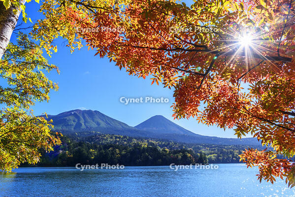 オンネトーより紅葉の雌阿寒岳と阿寒富士 [MHI110004980]