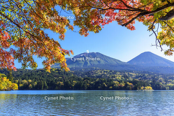 オンネトーより紅葉の雌阿寒岳と阿寒富士 [MHI110004981]