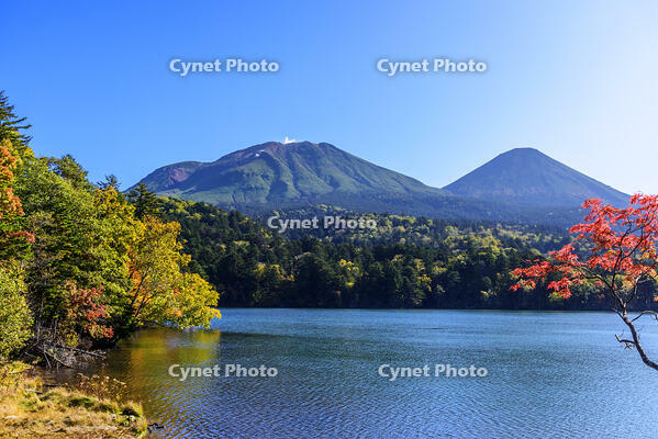 オンネトーより紅葉の雌阿寒岳と阿寒富士 [MHI110004982]