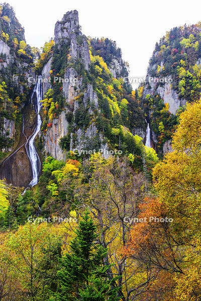 紅葉の流星・銀河の滝　層雲峡 [MHI110004983]