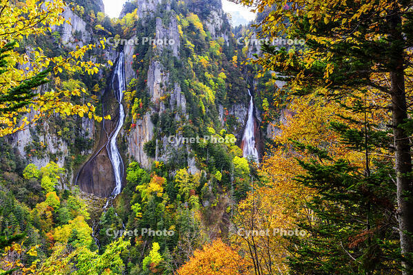 紅葉の流星・銀河の滝　層雲峡 [MHI110004984]