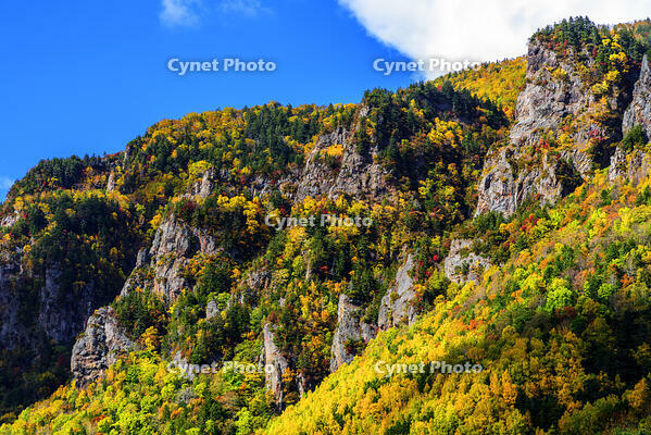 層雲峡の渓谷美　紅葉 [MHI110004985]