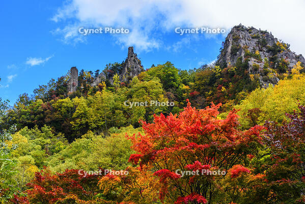 紅葉の層雲峡　双槍峰 [MHI110004986]
