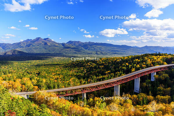 三国峠より紅葉の樹海と松見大橋　緑深橋より [MHI110004987]