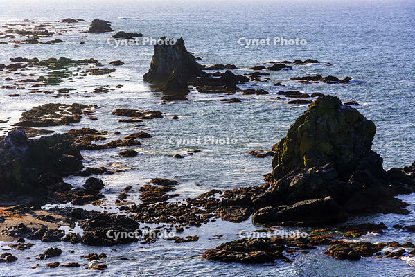 襟裳岬の岩礁群　朝景 [MHI110004998]