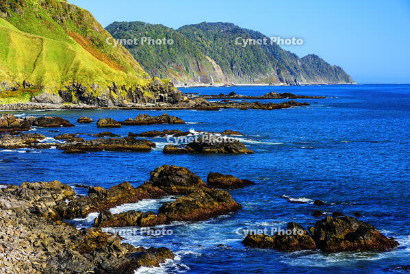 望洋台より太平洋の断崖 [MHI110005001]