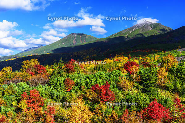 紅葉の望岳台より美瑛岳と美瑛富士 [MHI110005014]