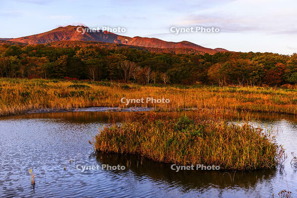 紅葉の田代平湿原より朝日に照らされる八甲田連峰 [MHI110005019]